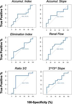 Role of post-transplant graft scintigraphy in kidney donation after circulatory death